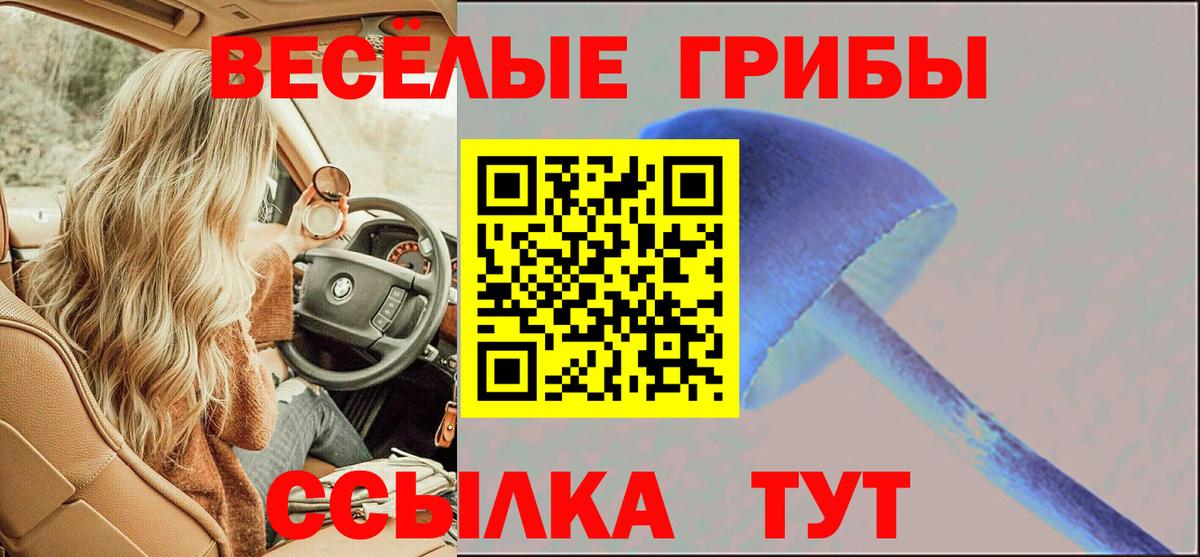 Псилоцибиновые грибы Psilocybine cubensis Котовск